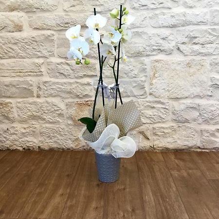 B&B Sant'Agostino Giovinazzo Eksteriør bilde